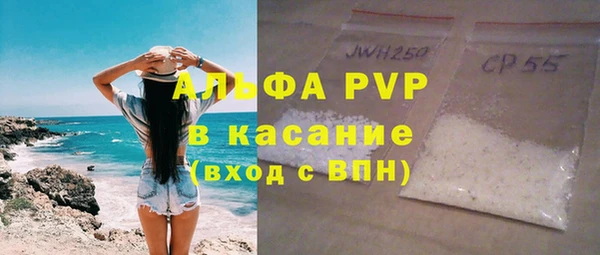 прущие грибы Дмитриев