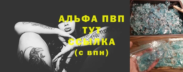 прущие грибы Дмитриев