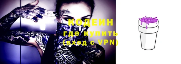 прущие грибы Дмитриев