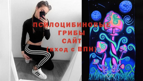 эйфоретик Гусиноозёрск