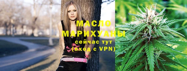 прущие грибы Дмитриев