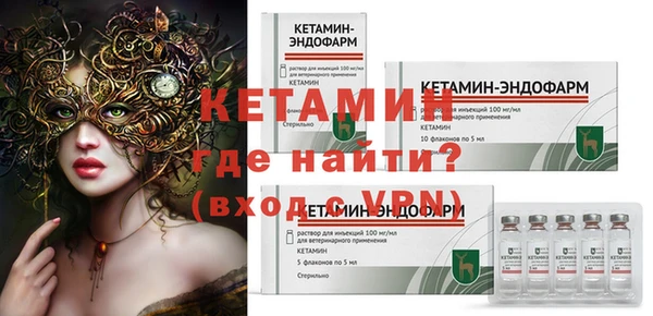 прущие грибы Дмитриев