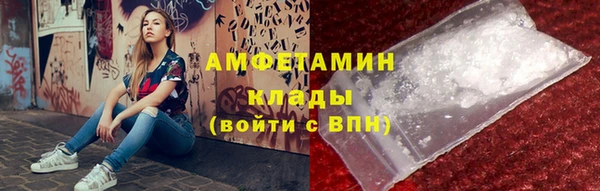 прущие грибы Дмитриев