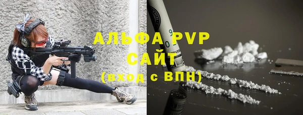прущие грибы Дмитриев