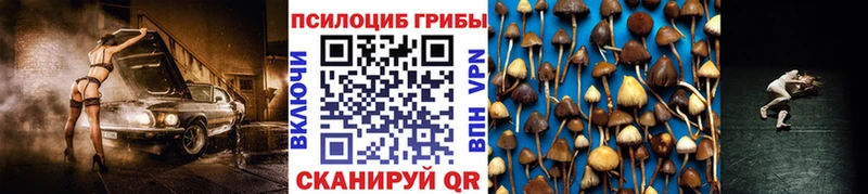 Галлюциногенные грибы Magic Shrooms  Купить  Сортавала 